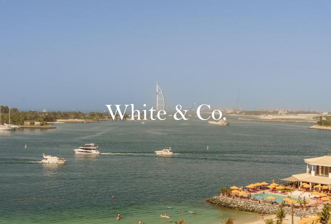 84902755 - صورة العقار 2