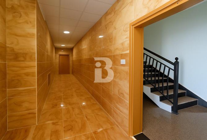 16282093 - Property Image 3