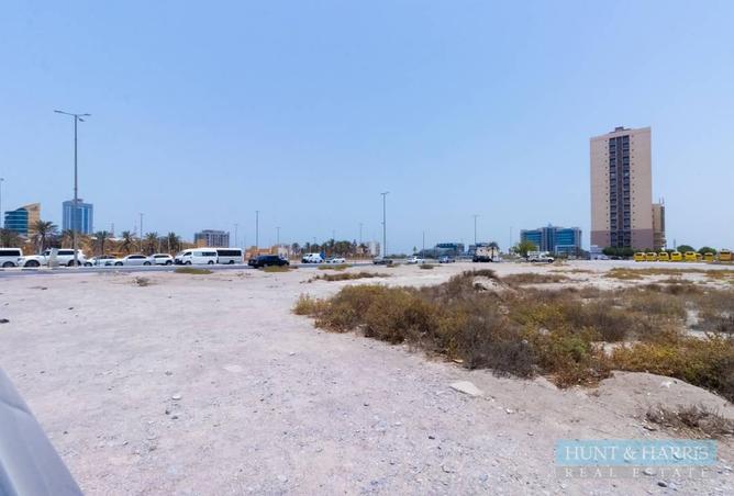 16167131 - Property Image 3