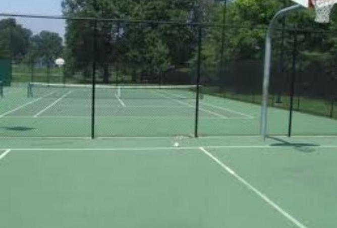 16244162 - Property Image 3