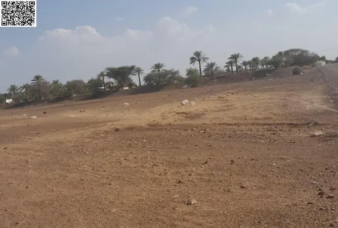 111405812 - صورة العقار 3