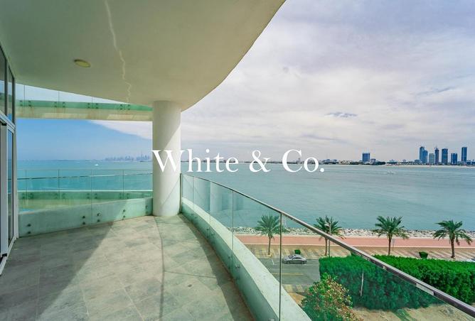 16213131 - Property Image 3