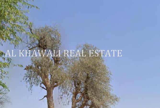 74252304 - صورة العقار 2