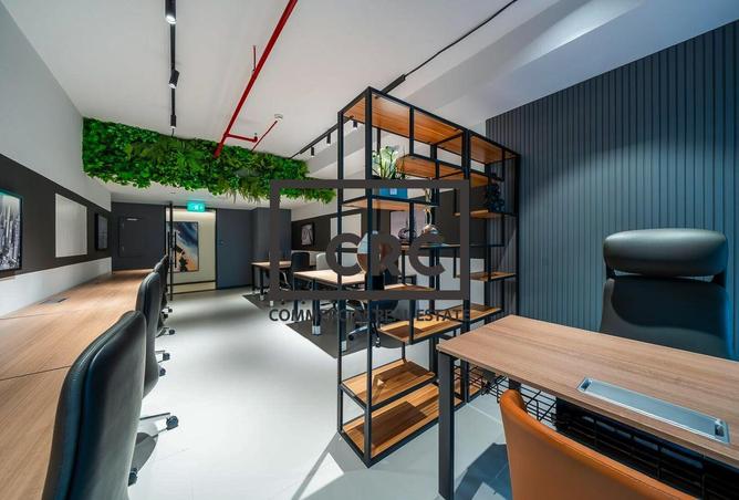 16239856 - Property Image 3