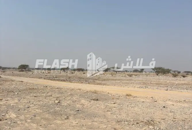 163231787 - Property Image 2