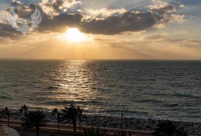 54395703 - صورة العقار 2