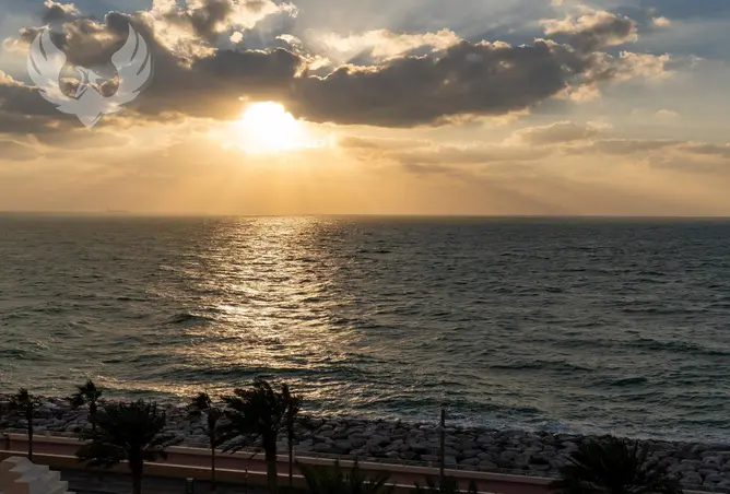 54395703 - صورة العقار 2