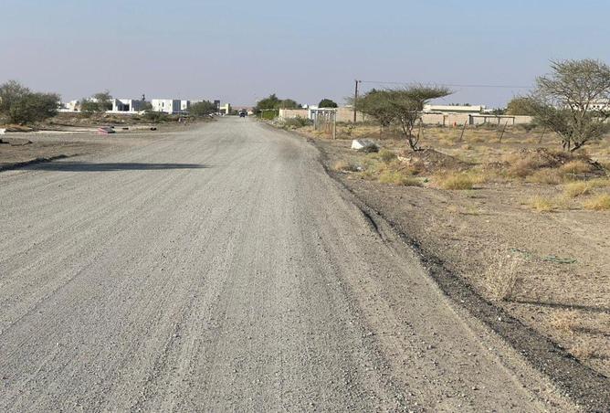 16054618 - Property Image 3