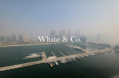 شقة - 2 - 2 للايجار في برج Palace Beach ريزيدنس 2 - بالاس بيتش ريزيدنس - إعمار بيتشفرونت - دبي هاربور - دبي