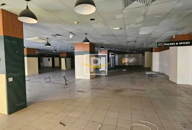 159602043 - Property Image 3