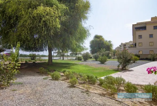 146446927 - Property Image 2