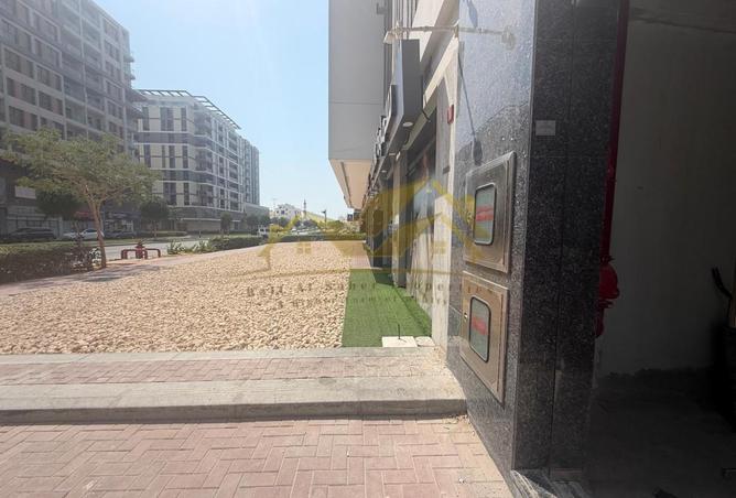 126589785 - Property Image 2