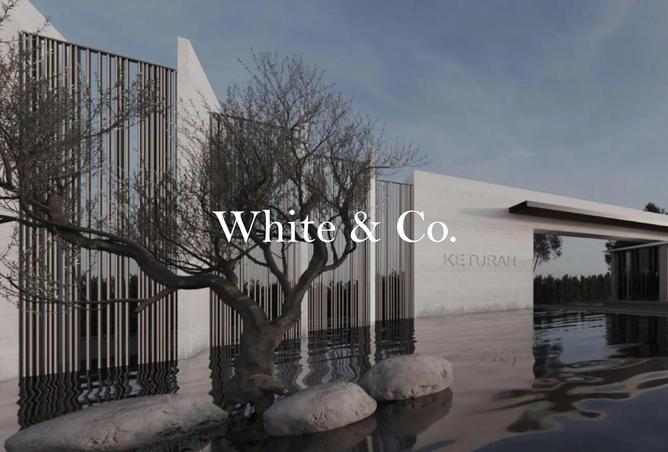 104669854 - Property Image 2