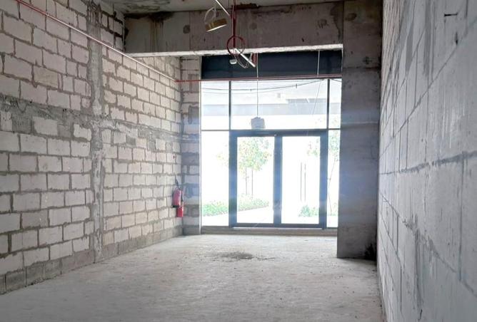 65555049 - صورة العقار 3