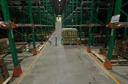 Warehouse - Studio - 1 for rent in Dubai Investment Park 1 (DIP 1) - Dubai Investment Park (DIP) - Dubai