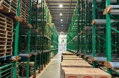 Warehouse - Studio - 1 for rent in Dubai Investment Park 1 (DIP 1) - Dubai Investment Park (DIP) - Dubai