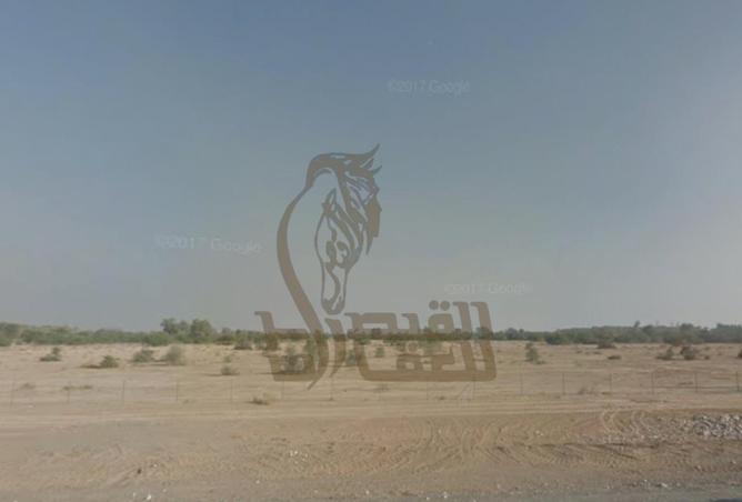 16327241 - Property Image 3