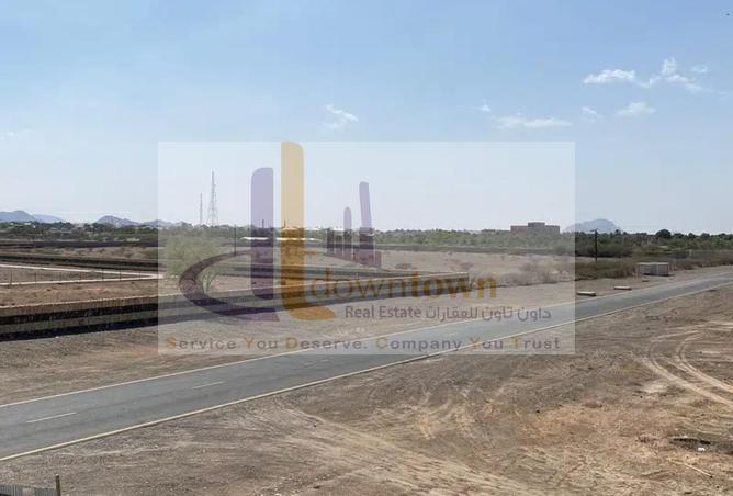 16262261 - صورة العقار 2