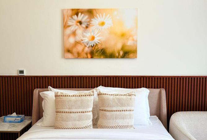 61677006 - Property Image 2