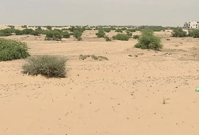 127920785 - صورة العقار 2