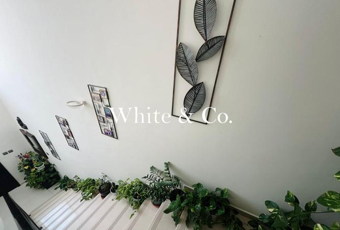 16169076 - Property Image 3