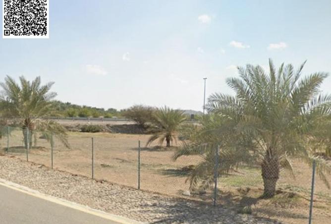 106856766 - Property Image 3