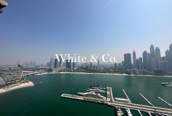 82780622 - صورة العقار 2