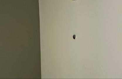 Apartment - 1 - 1 for rent in Al Nad - Al Qasimia - Sharjah