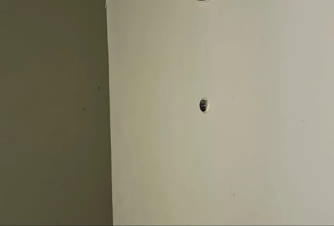 161892848 - Property Image 3