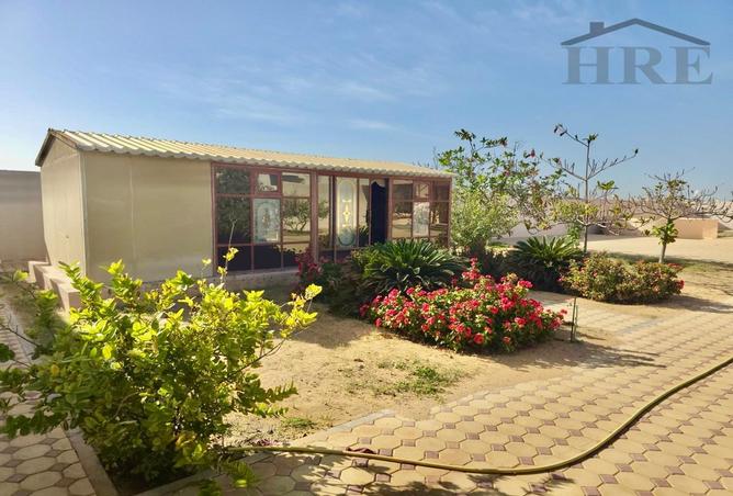 16292218 - صورة العقار 2