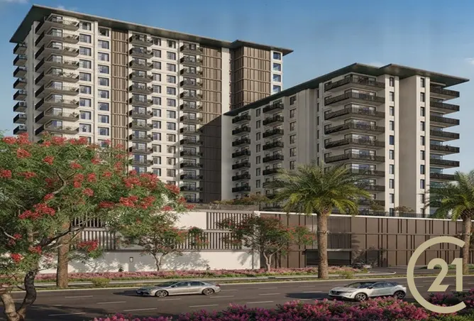 164574693 - Property Image 3