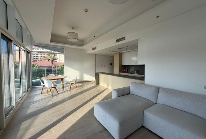 16337851 - Property Image 3