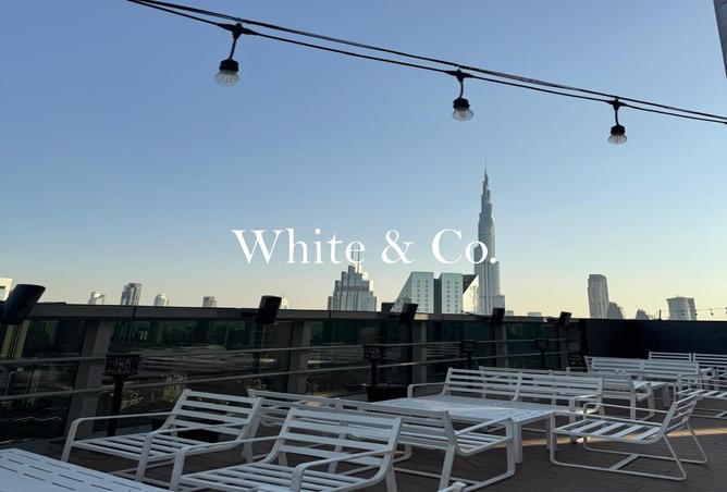 16087755 - صورة العقار 2