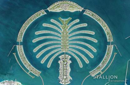 Land - Studio for sale in Palm Jebel Ali Frond O - Palm Jebel Ali - Dubai Land - Studio for sale in Palm Jebel Ali Frond O - Palm Jebel Ali - Dubai