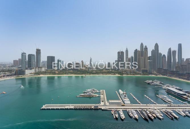 81108778 - صورة العقار 2