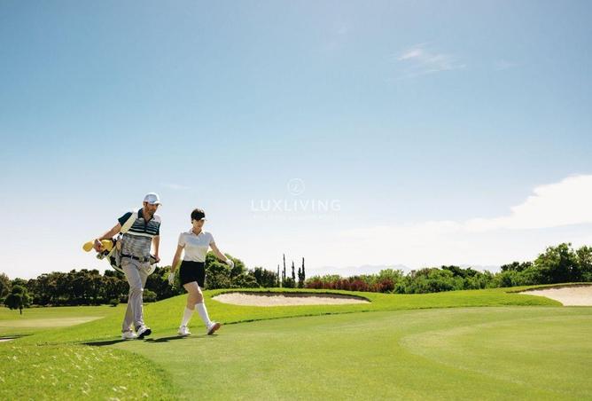 16122721 - صورة العقار 3