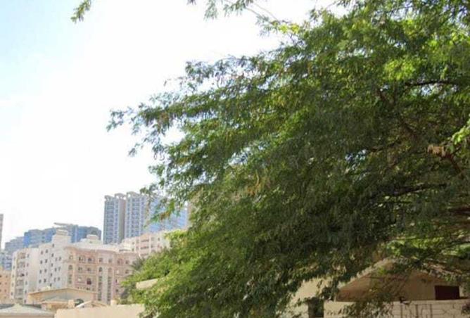 56538013 - Property Image 2