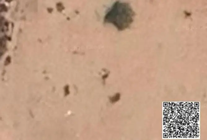 16128280 - Property Image 3