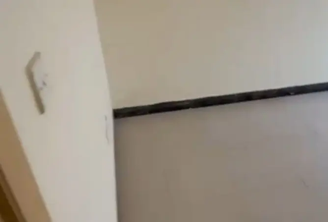 137868691 - صورة العقار 3