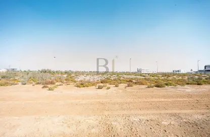 Land - Studio for sale in Saih Shuaib 1 - Jebel Ali - Dubai