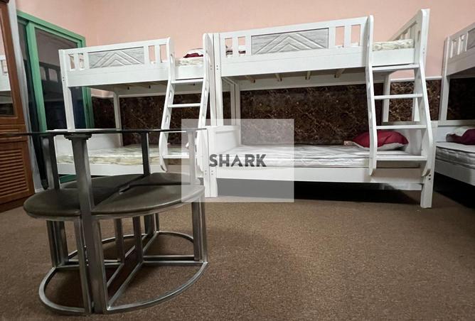 54507306 - صورة العقار 3