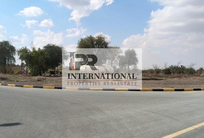 16106893 - Property Image 3