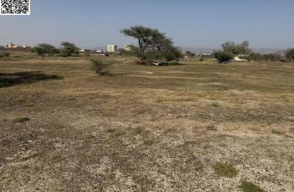 Land - Studio for sale in Manama - Ajman