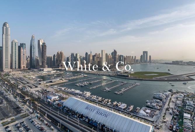 16224865 - Property Image 3