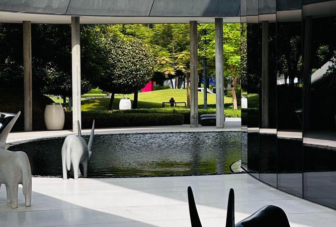 16328214 - Property Image 3