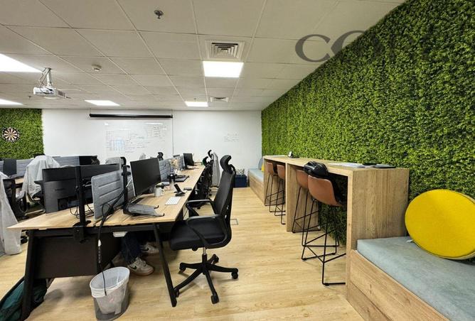 16155878 - Property Image 3