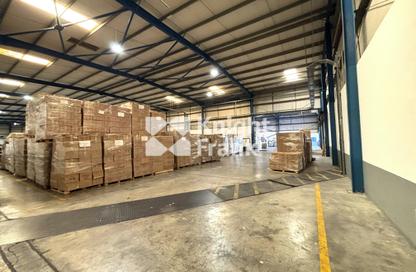 Warehouse - Studio for sale in Freezone South - Jebel Ali Freezone - Jebel Ali - Dubai
