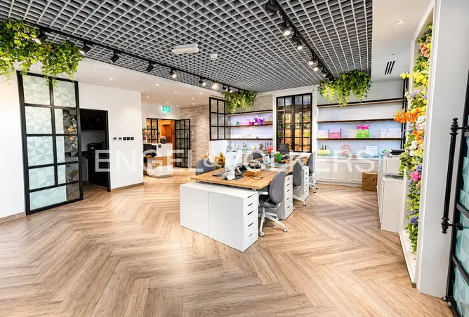 156893646 - Property Image 3