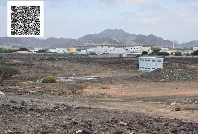 81109854 - صورة العقار 3