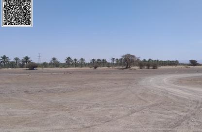 Land - Studio for sale in Manama - Ajman Land - Studio for sale in Manama - Ajman